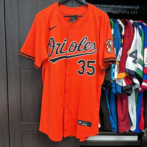 Nike MLB Other - Adley Rutschman Baltimore Orioles Nike Alternate Elite Player Jersey - Orange